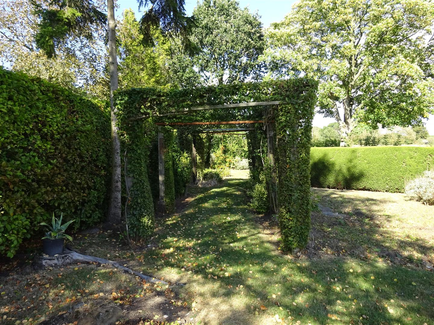 Halesworth property photo